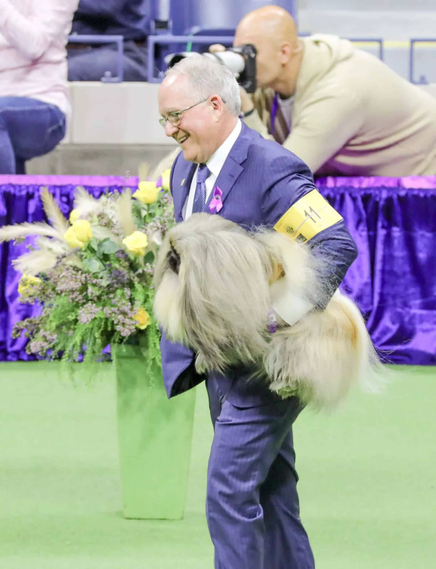 GCH CH Pequest Rum Dum, or "Rummie," was the runner-up.
Credit: Westminster Kennel Club