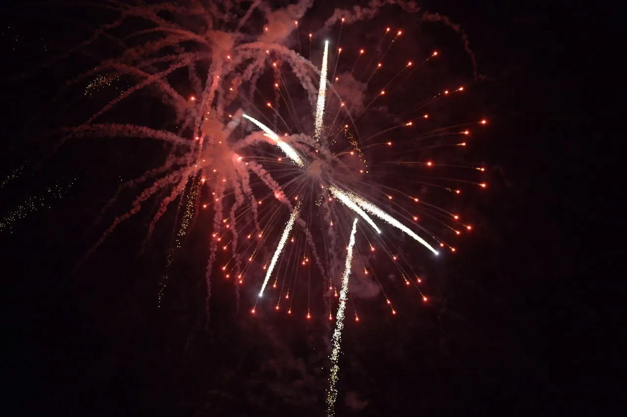 Fourth of July fireworks explode over Santana Regional Park in Corona Tuesday. Photo by Jerry Soifer