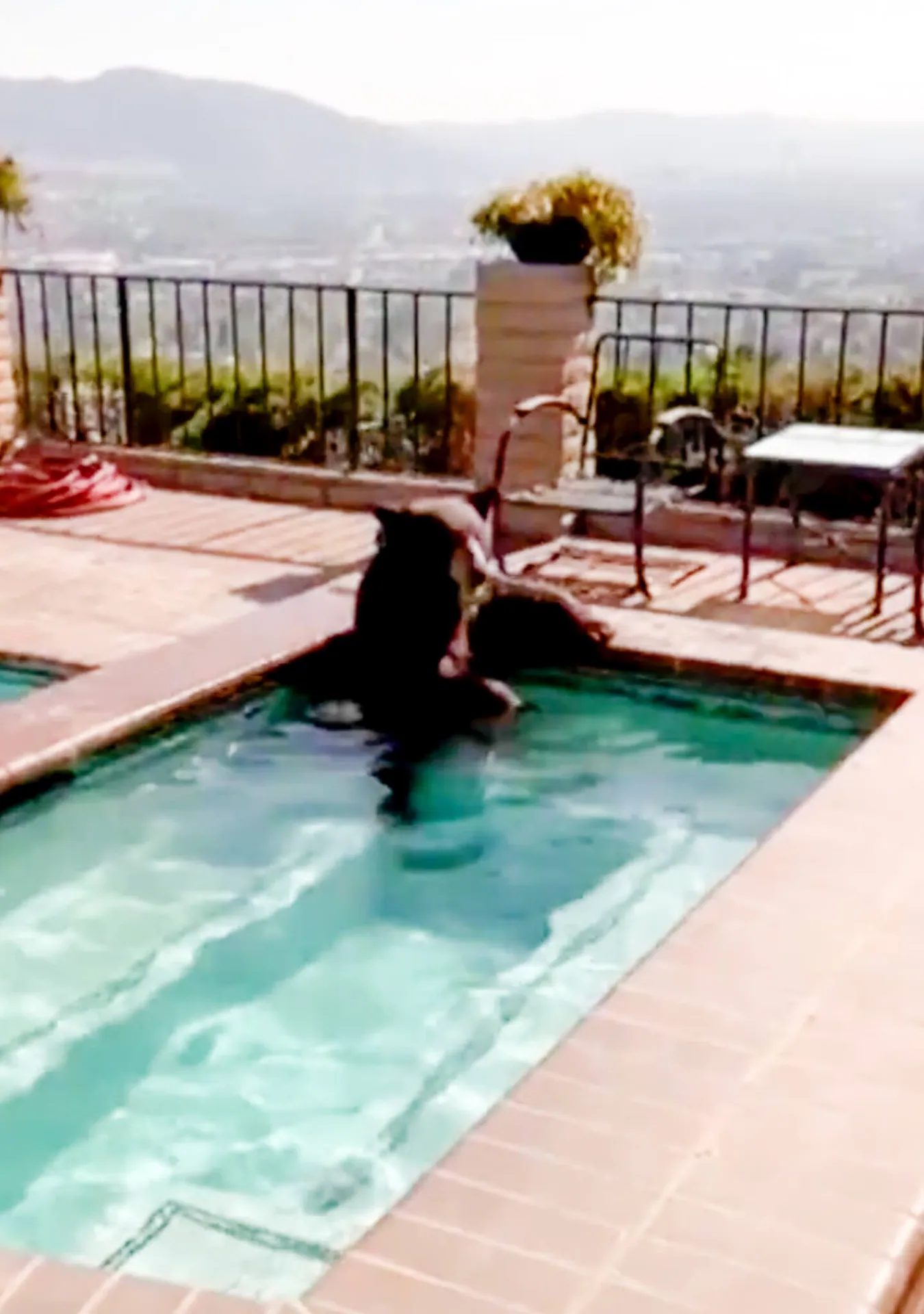 Burbank Bear