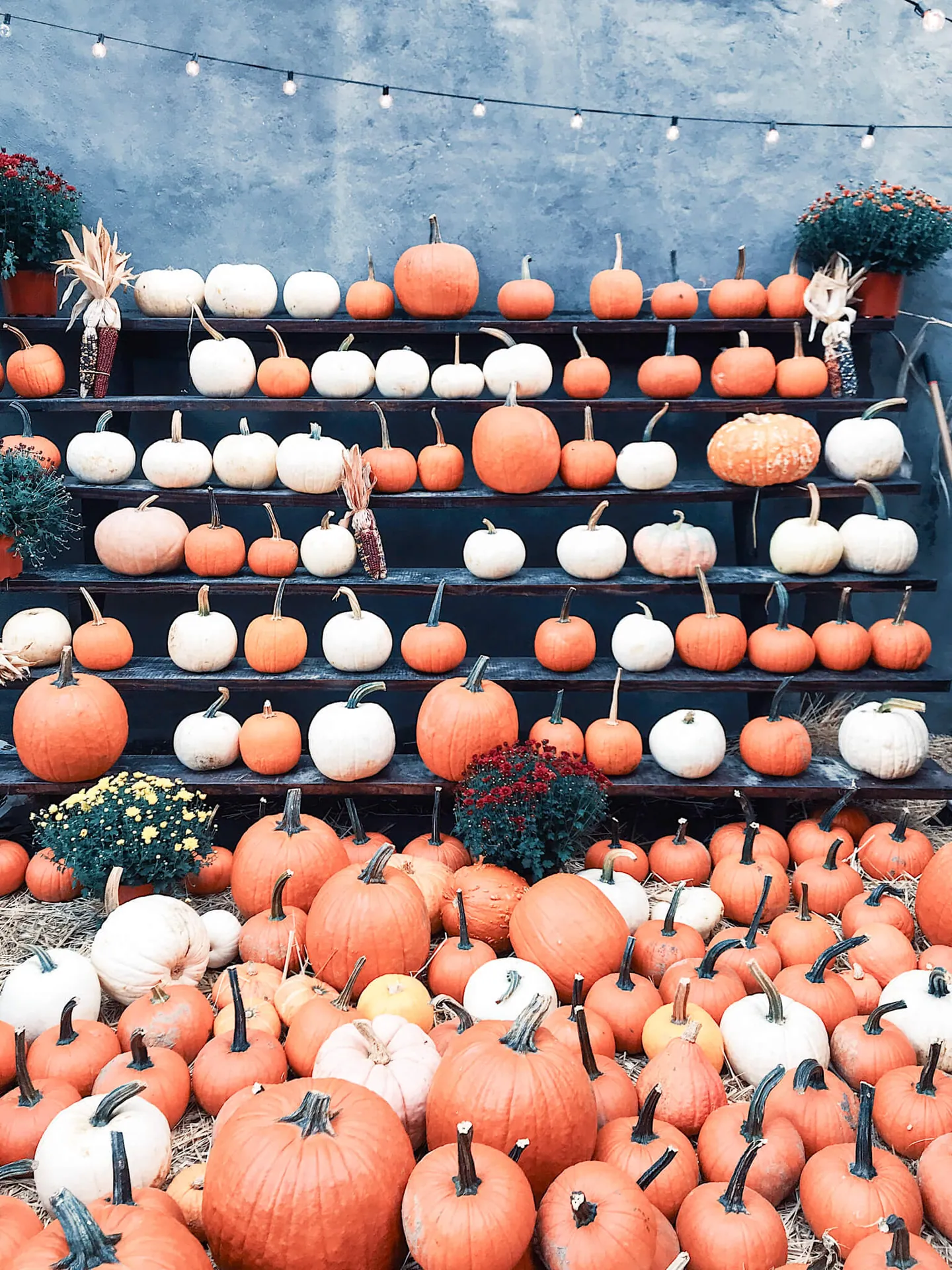 Fall Equinox