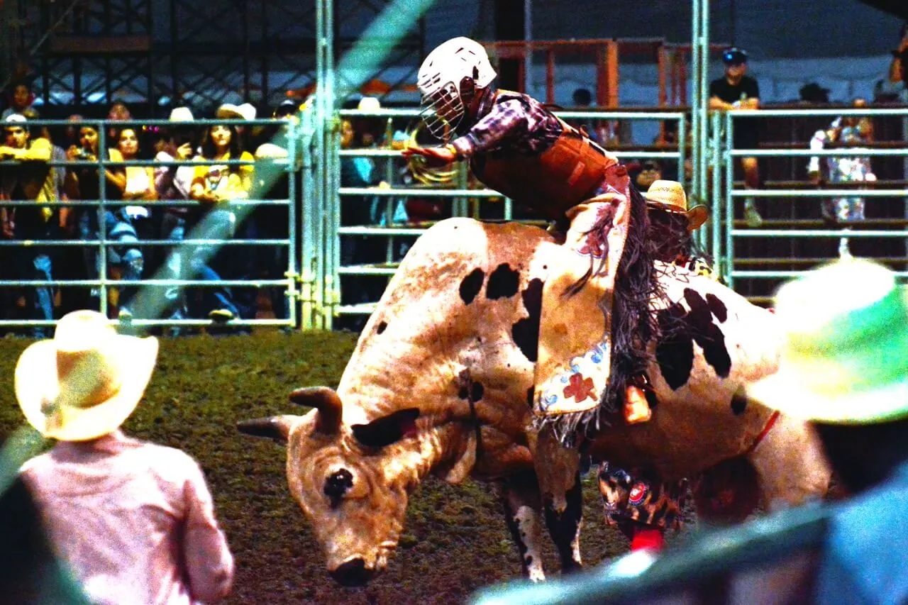 Joey Blackmore in action during the bull riding competition Saturday night at the Norco Fair Ranch Rodeo contest. Blackmore was the champion rider.
Credit: Photo by Gary Evans