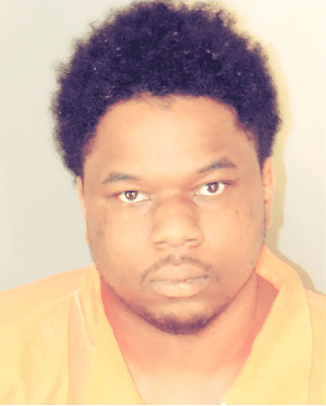 Jewelry Heists. Joshua Matthew Lewis of Inglewood