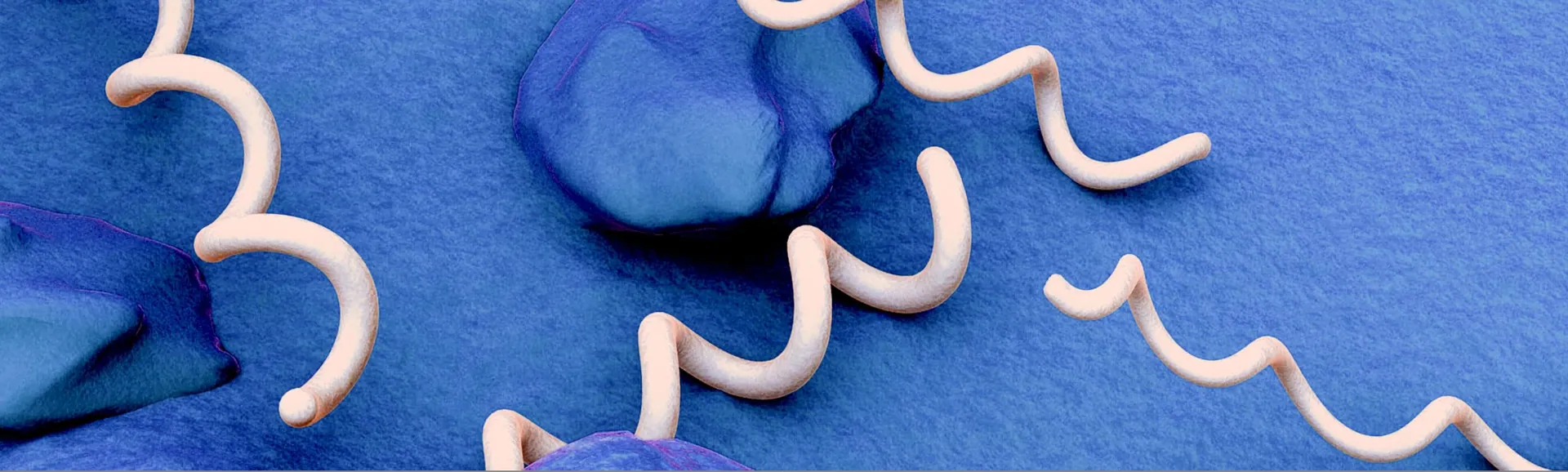 Syphilis