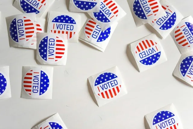 Primary Vote Count