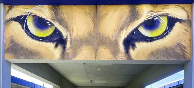 : Peer into the cougars’ eyes. Trinidad Rivera’s favorite mural at Norco High School that he painted freehand, building confidence in himself as a complete artist.
Credit: @bossgraphicsmurals Instagram