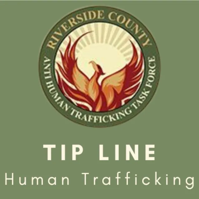 Prostitution Sting