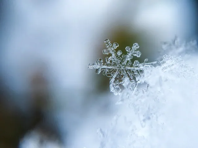 Wind, Rain, Snow,