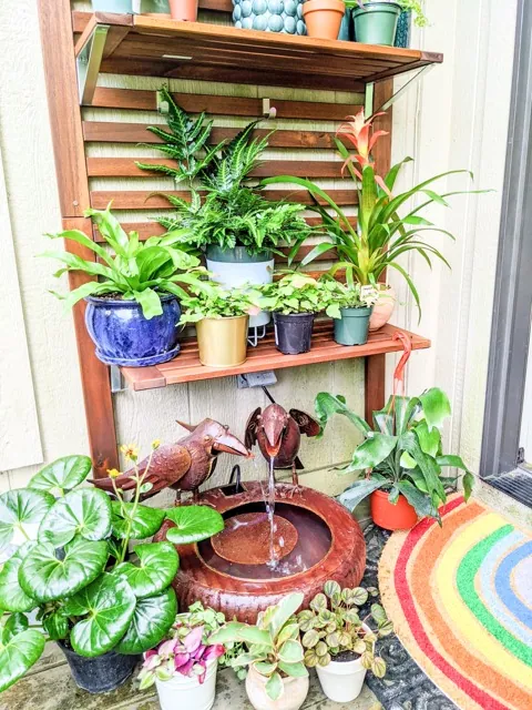 houseplants