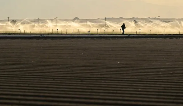 Inland heat soars. A farmer walks back to his truck after starting the irrigation in a field in Brawley on Dec. 29, 2022.  Credit: Photo by RJ Sangosti, MediaNews Group/The Denver Post via Getty Images