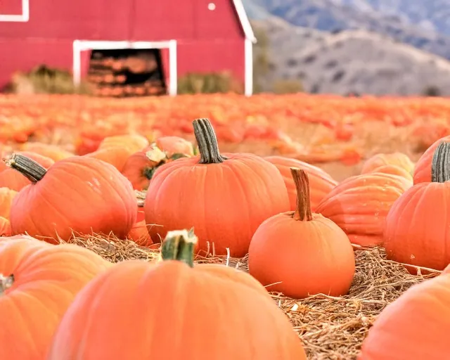 Frightening Fall Festivities