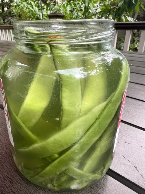 Pickled Peppers. freshly picked green beans in a jar of reused pickle brine on Long Island, N.Y. Credit: Jessica Damiano via AP