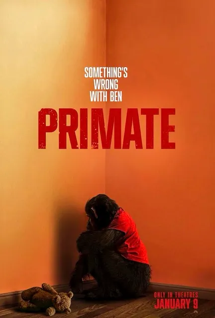 Primate