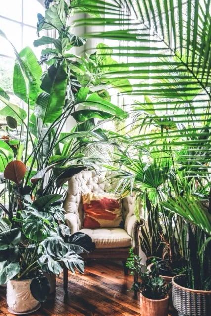 Nature Nook