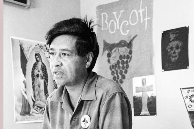 Cesar Chavez, a farm worker, labor organizer and leader of the California grape strike, is seen in a California office in 1965.  Credit: AP Photo, George Brich, File