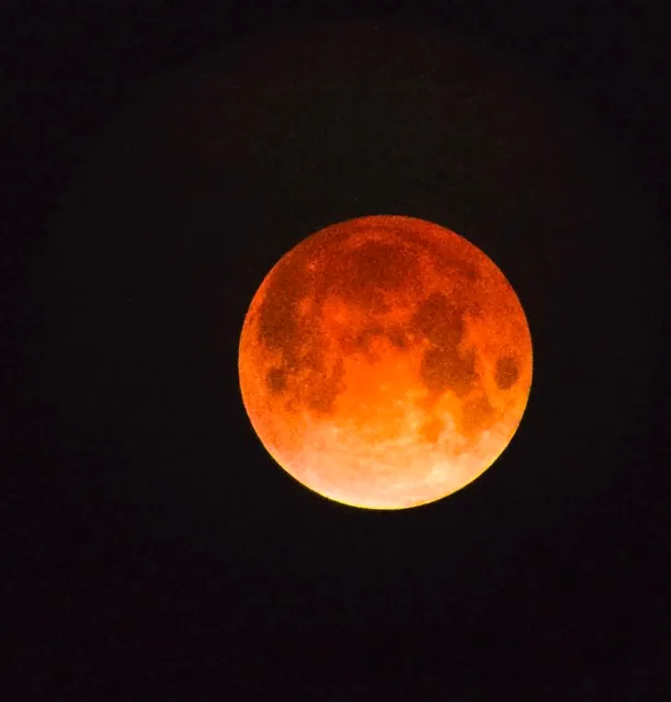 The Lunar Eclipse as seen in the Inland Empire, Tuesday Morning March 3rd at 3:29 AM. During a total lunar eclipse, the moon appears to take on a red hue, giving rise to "blood moon". This was the last total lunar eclipse anywhere on Earth until New Year's Eve 2028-2029.
Credit: Photo by Gary Evans using a Celestron Omni AZ-102 telescope.