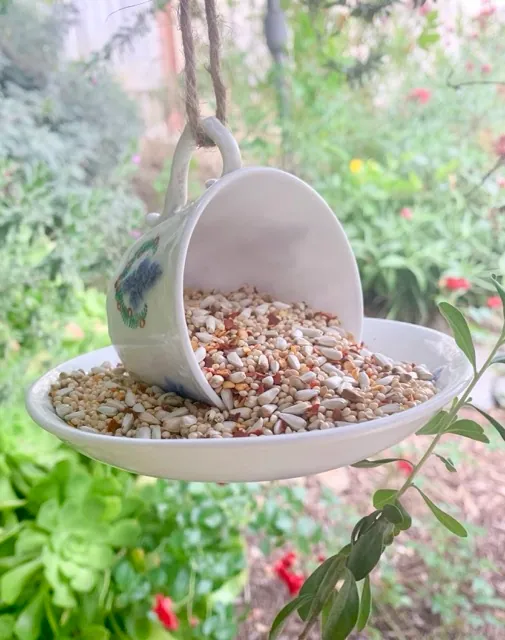 Bird Feeder