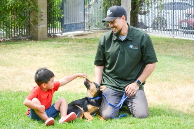 Animal Euthanasia