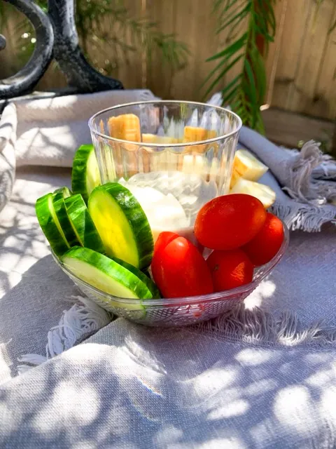 Portable Snack Trays