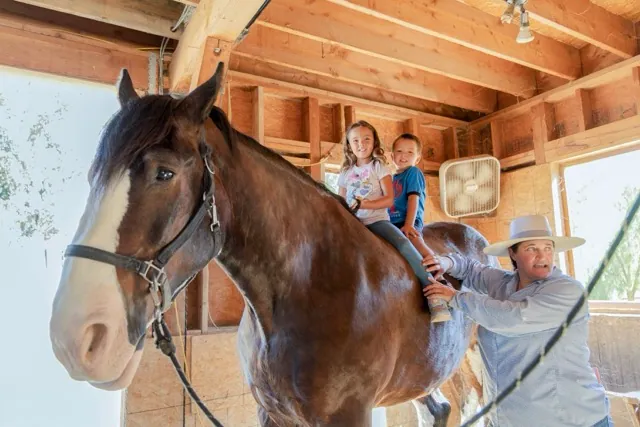 Children sit atop Floyd, while owner Marika Matson, discusses caring for the Clydesdales during the "Clydesdales and Coffee" event at the Temecula Carriage Company, Saturday July 18. Photo by Lisa Zambrano