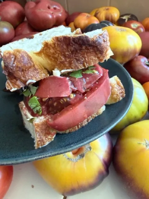 Tomato Sandwich
