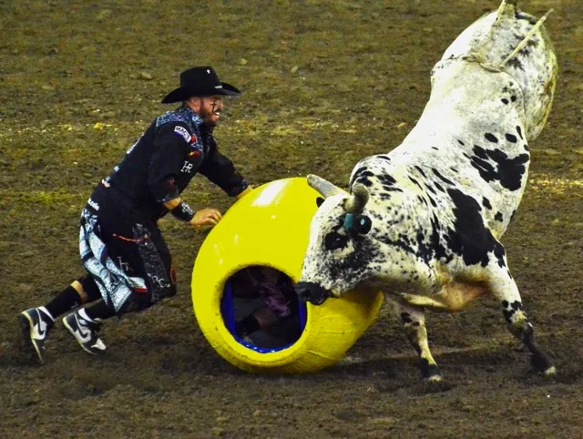 Bullfighter Cole Bates defends himself from a rampaging bull with the barrel while rodeo clown Dominic Georgi is safe inside during rodeo action at the Norco Fair.