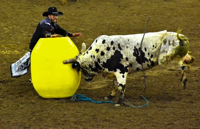Bullfighter Cole Bates uses the barrel as a shield while distracting the bull away from the thrown rider during action at the 2026 Norco Fair.