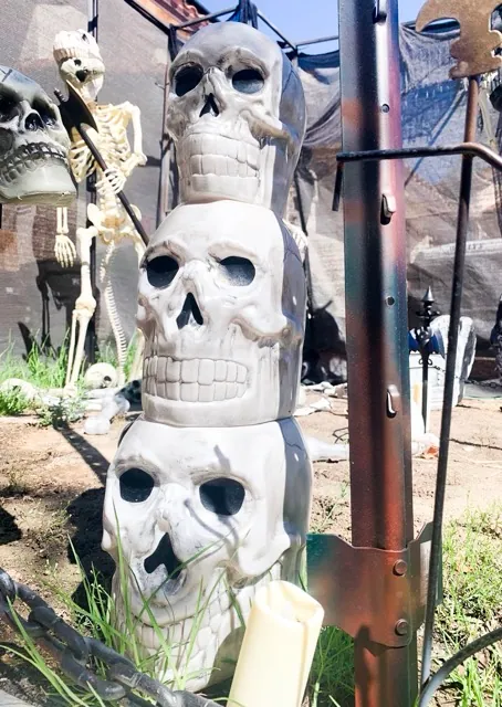Skeleton